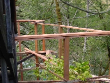 Cat enclosure Under Construction 4