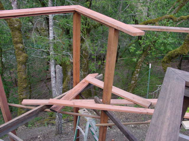 Cat enclosure Under Construction 5