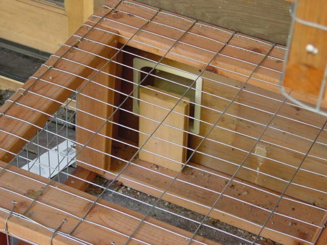 Cat enclosure Under Construction 6