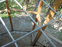 Cat enclosure from above