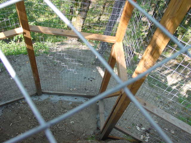 Cat enclosure from above