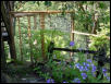 Cat Enclosure 1