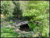 Pond in Spring, 2