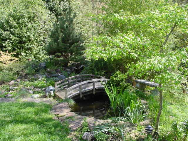 Pond in Spring, 2