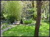 Fish Pond in Spring