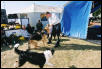 Rescue Team, waiting