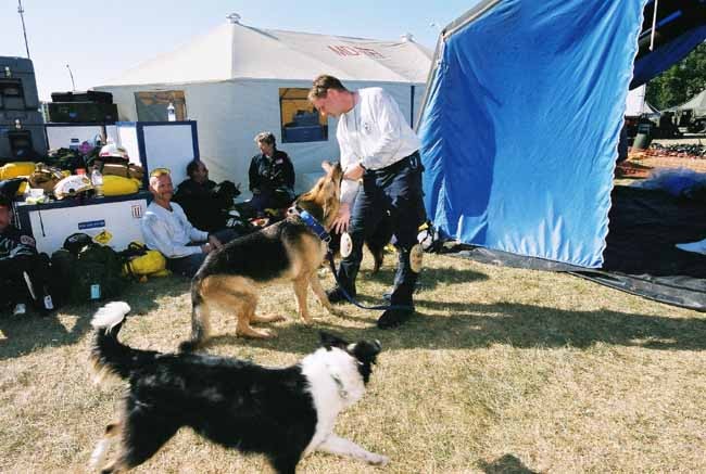 Rescue Team, waiting
