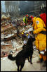 Searching Ground Zero