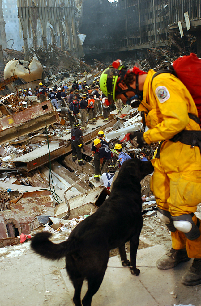 Searching Ground Zero