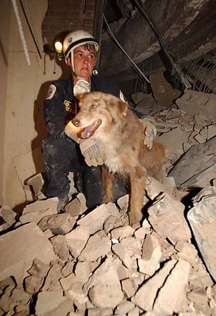 9/11, in the wreckage