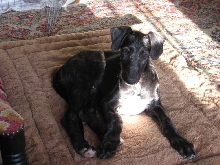 Rawley's first morning