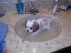 bath time
