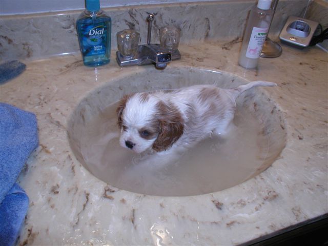 bath time