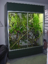 Melamine Water Dragon Cage