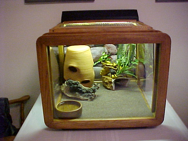 Here's a cage I just finished