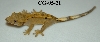 CG-05-21