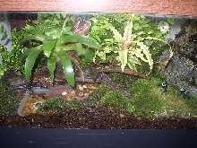 Front view of Tinc setup