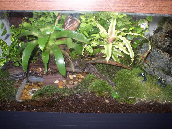 Front view of Tinc setup