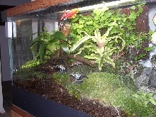 Side View of Setup 2
