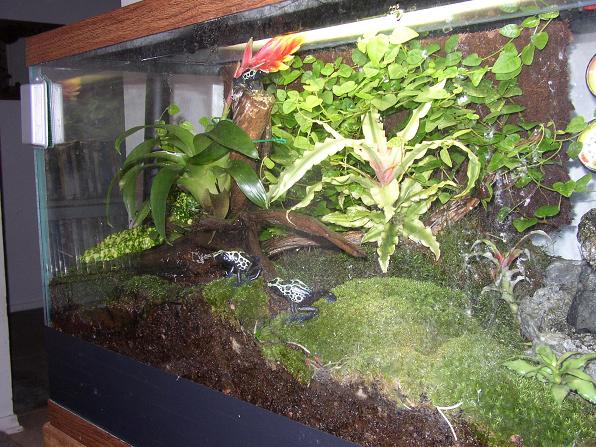 Side View of Setup 2