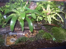 Stream and Reservoir