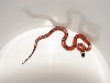male stripe