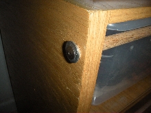 snake rack locks