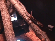 Haitian Boa