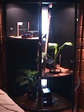Custom Cage with plants