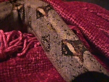 pic4