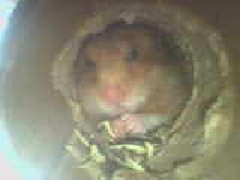 in bed eating a sanck!!!!!