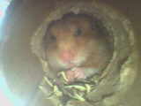 in bed eating a sanck!!!!!