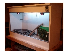 Demo Cage 2