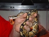 This is Dagon