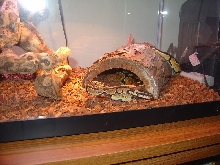 In Her Home