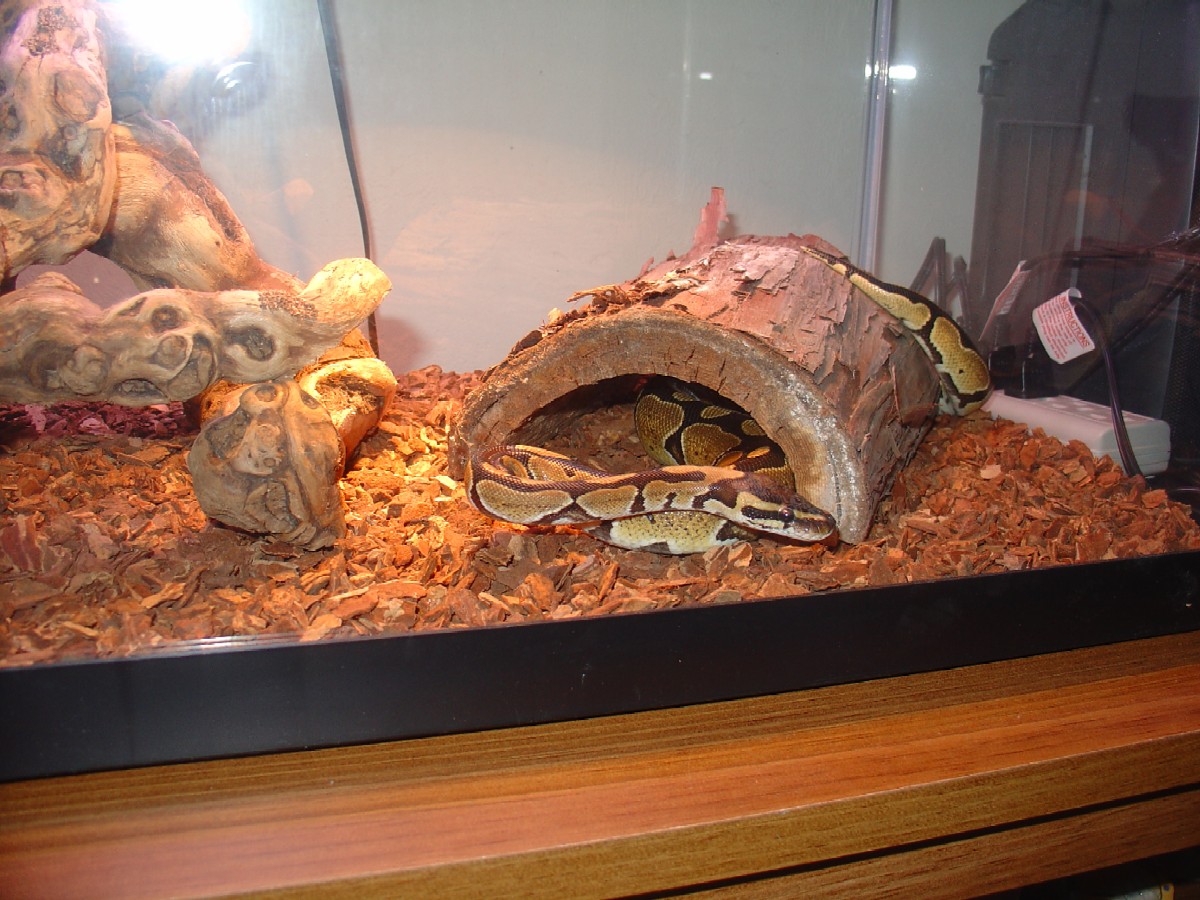 In Her Home