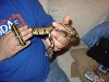 New post shed of Dagon