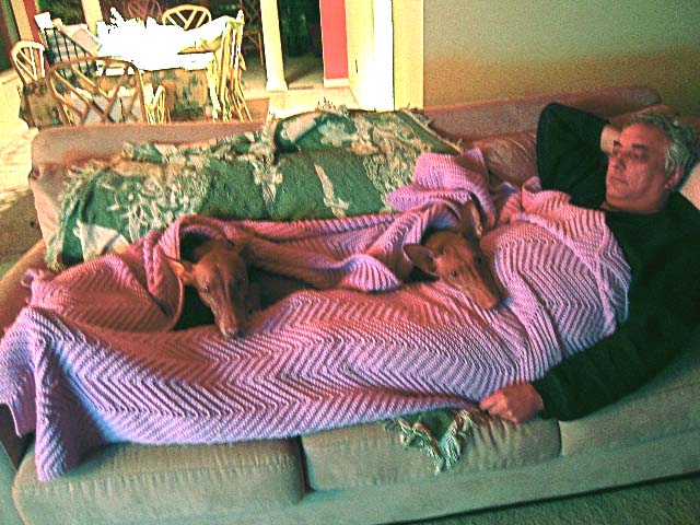 Koby still enjoys the same couch - Now w/Sofia