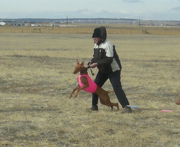 Sofia 2nd Run
