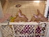Tipster & Koby 8 years ago