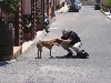Alvaro w/local dog on Italian Island s. of Sicily (2)