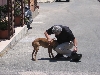 Alvaro w/local dog on Italian Island s. of Sicily (1)