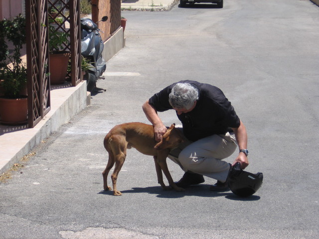 Alvaro w/local dog on Italian Island s. of Sicily (1)