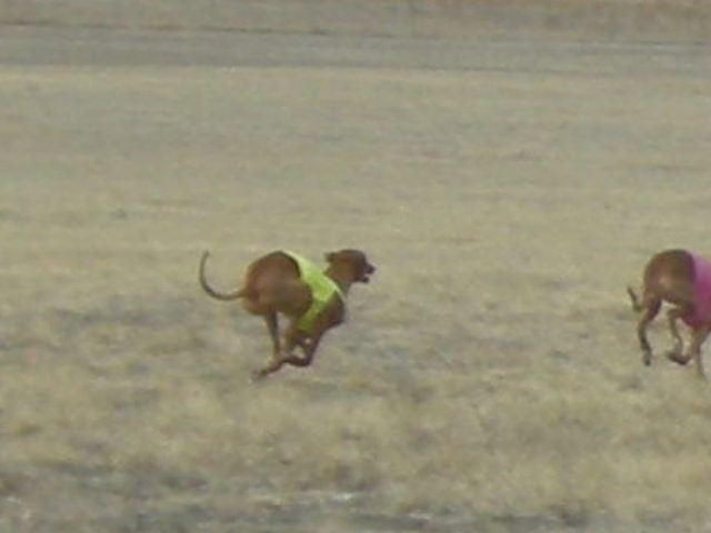 Sofia is Taking off!