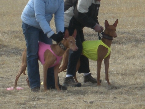 Sofia getting ready for her 1st run
