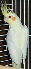 George