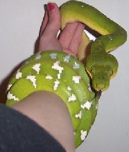 etb