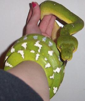 etb