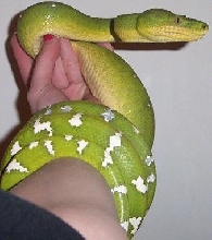 etb