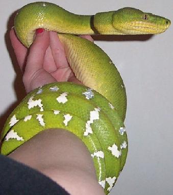 etb